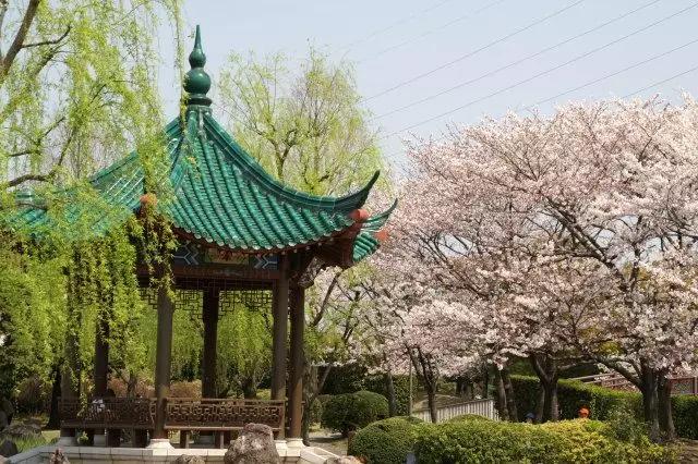 这个只有47万人的日本小城，是武汉最可爱的朋友