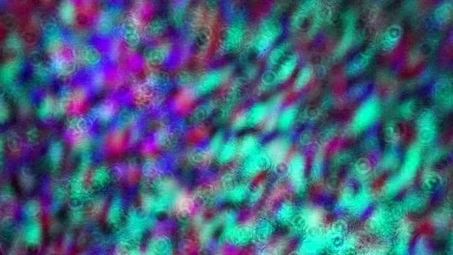 吃一勺原子核会怎样,吃一勺宇宙会发生什么