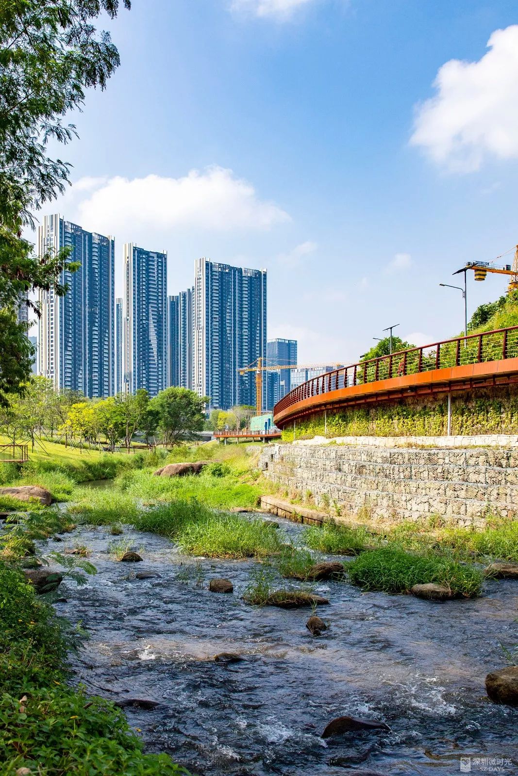 盼了1年！南山新地标“塞纳河”惊艳露面