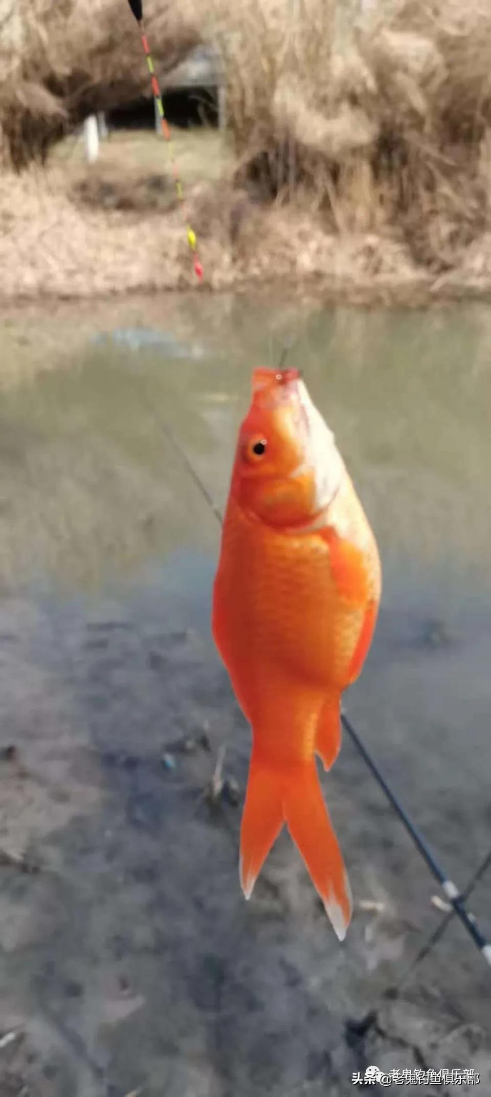 济南天气多变,济南天气变化