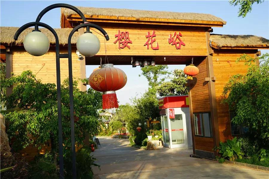 昆明石林景区值得去吗,昆明石林精华景点