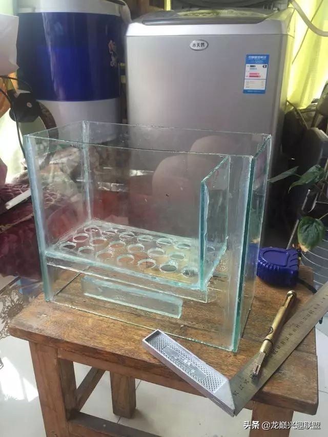 垃圾桶旁边的四方鱼缸，捡回去养了一缸金鱼，别说还挺不错