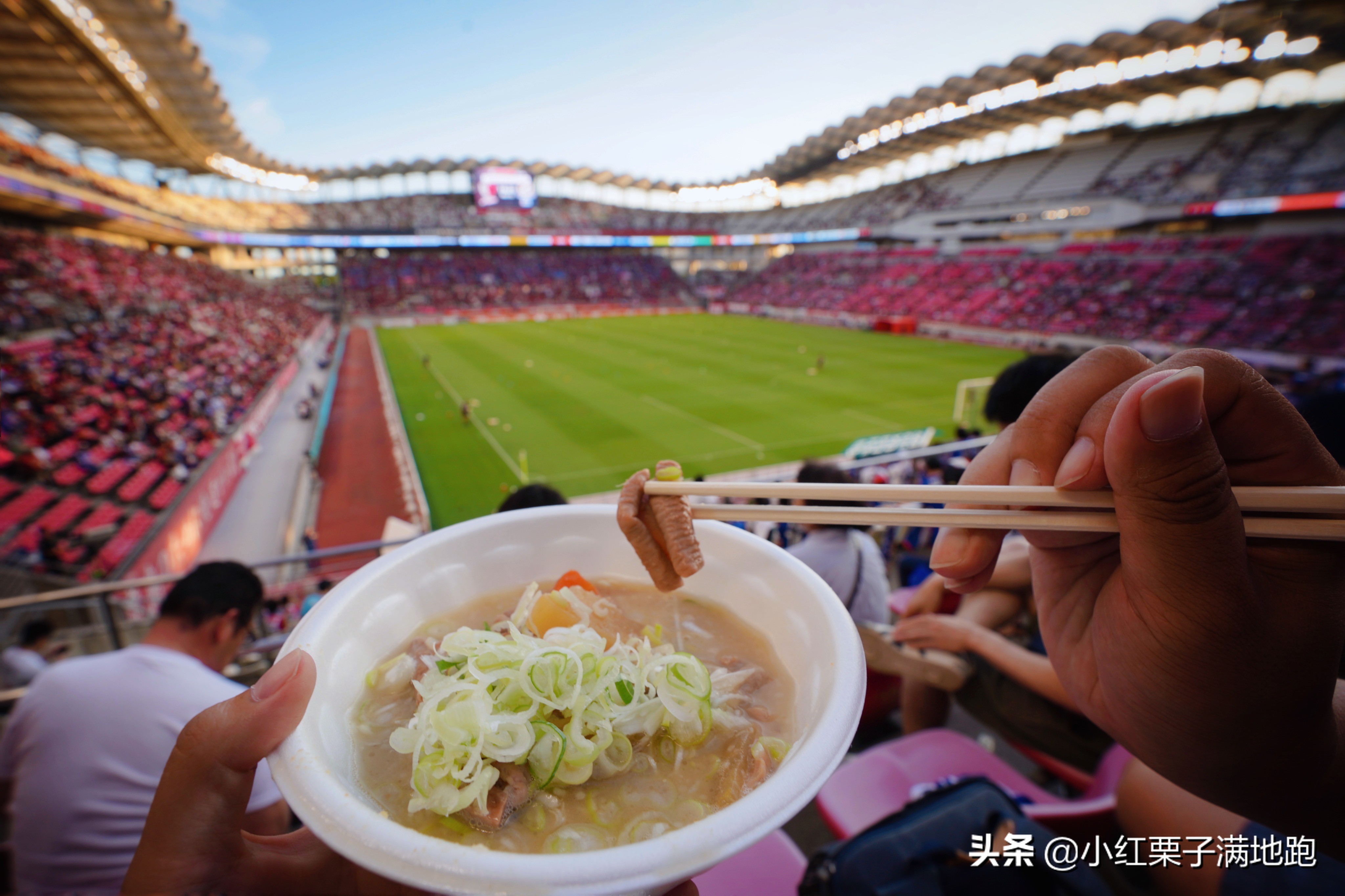 日本旅行攻略自由行怎么玩好,日本外出攻略