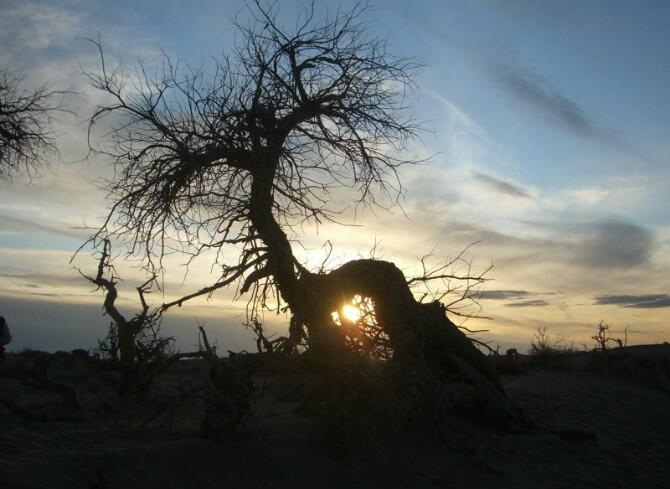 成都到额济纳旗五日游,南京到额济纳旗旅游攻略
