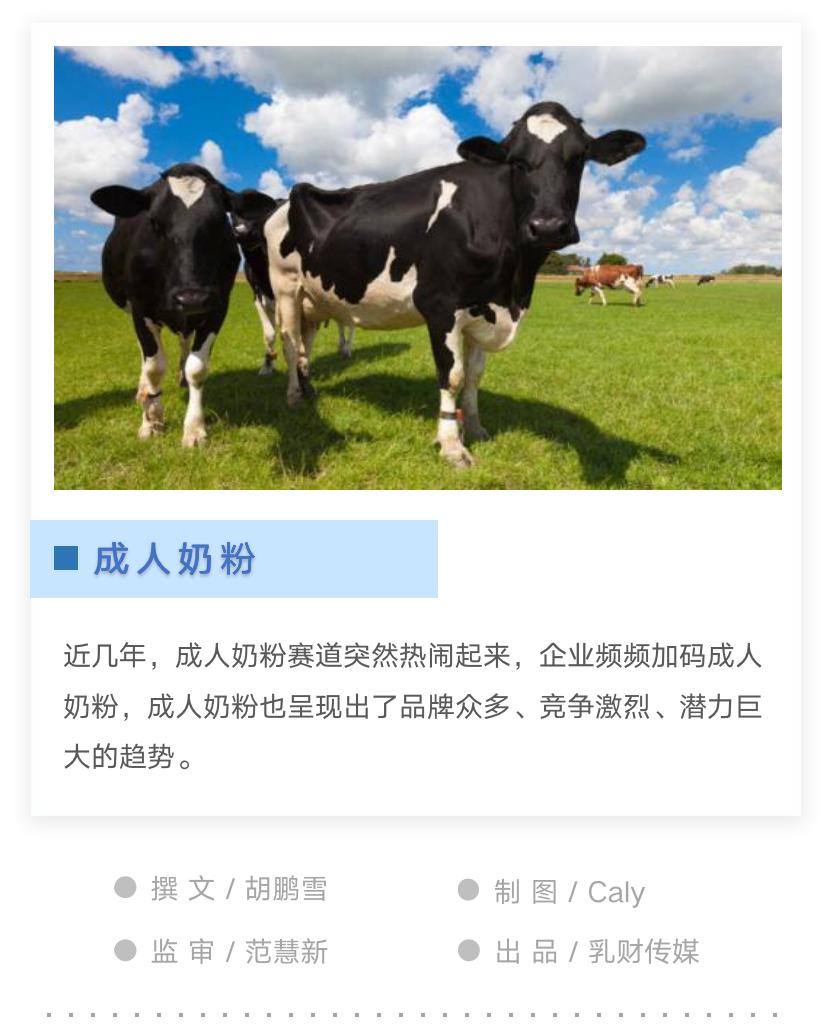 成人奶粉市场问题,成人奶粉的发展之路