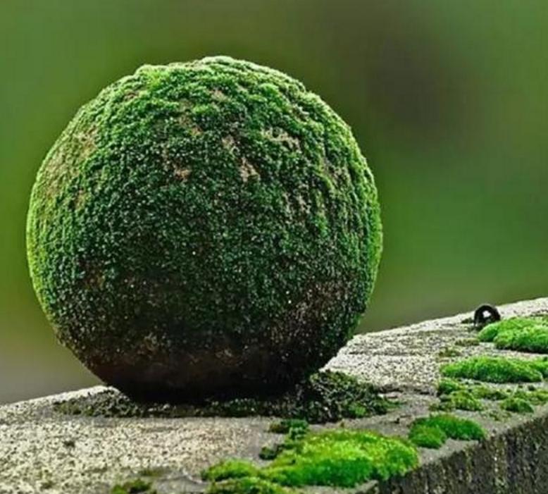 一个人大难临头征兆,一个人接二连三的祸事是怎么回事