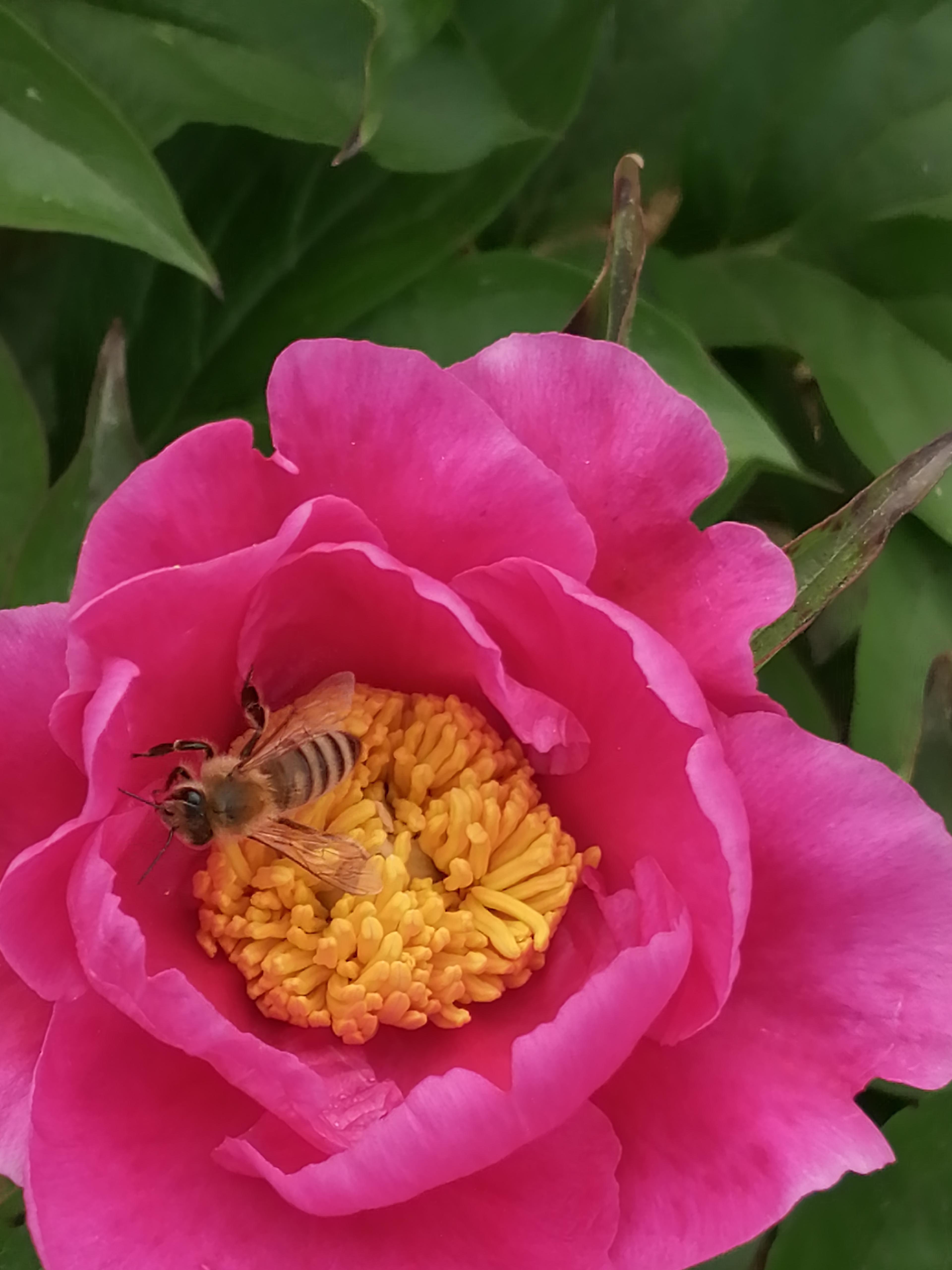 云闪付怎样转账到支付宝里,支付宝可以给云闪付转账吗