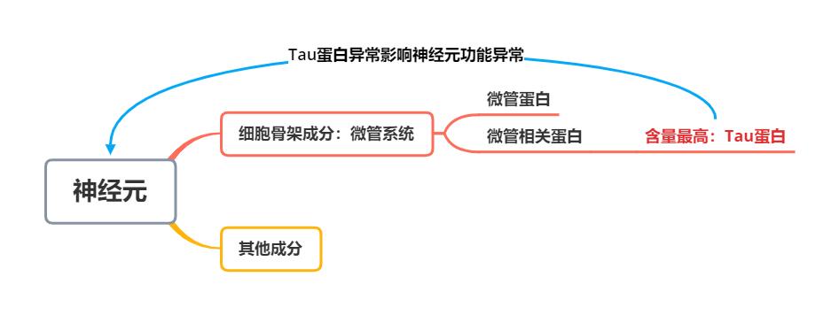 重磅研究成果！科学家在小鼠模型中发现改善自闭症核心症状新方法