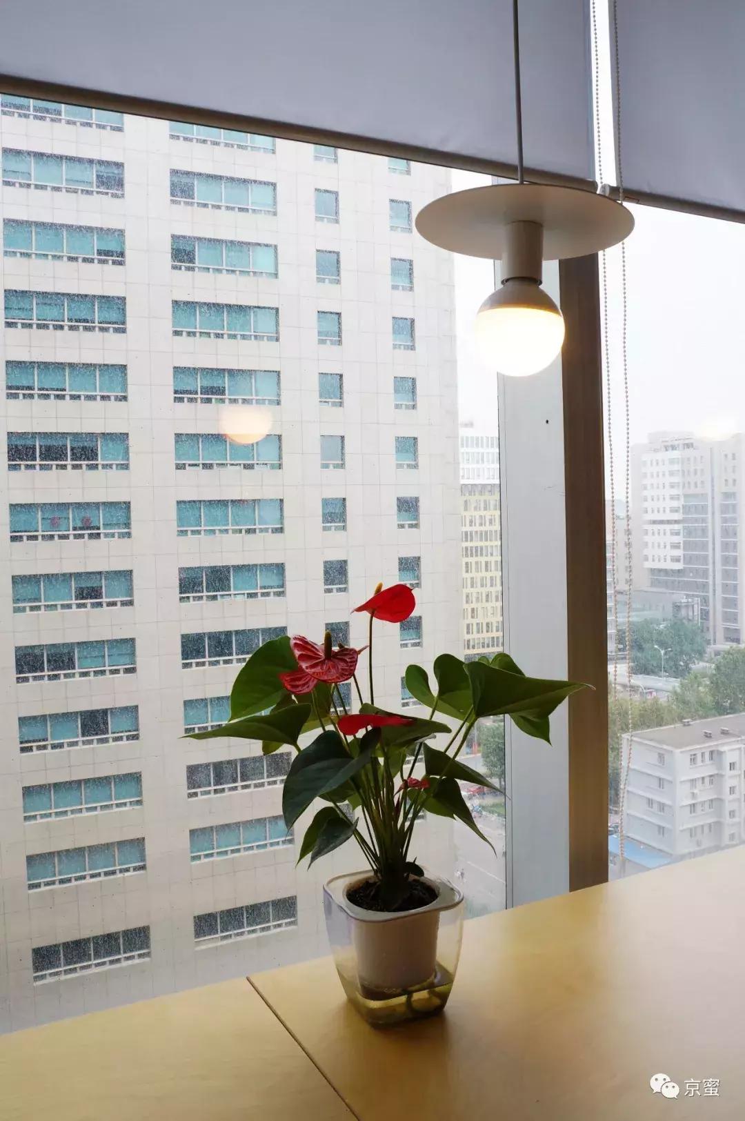 它是读书馆、自习室，更是逐梦空间|福利