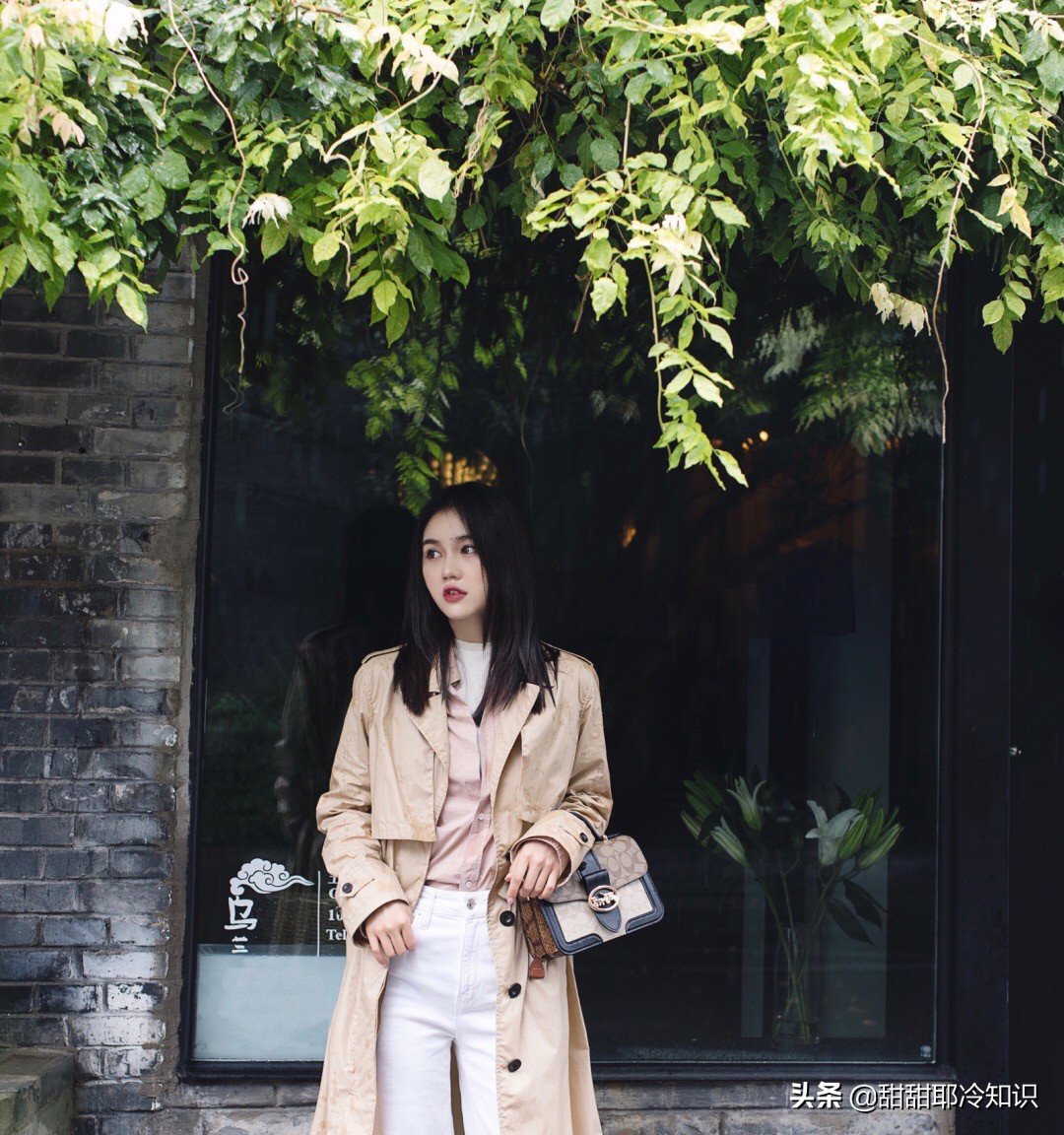 coach蔻驰风琴包黑色立体草莓,coach蔻驰新款马车图案包斜包