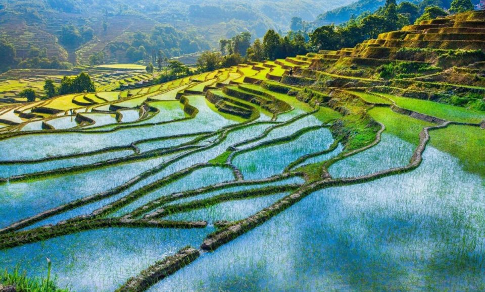 人间最美四月天赏自然春景,人间最美不过四月天图