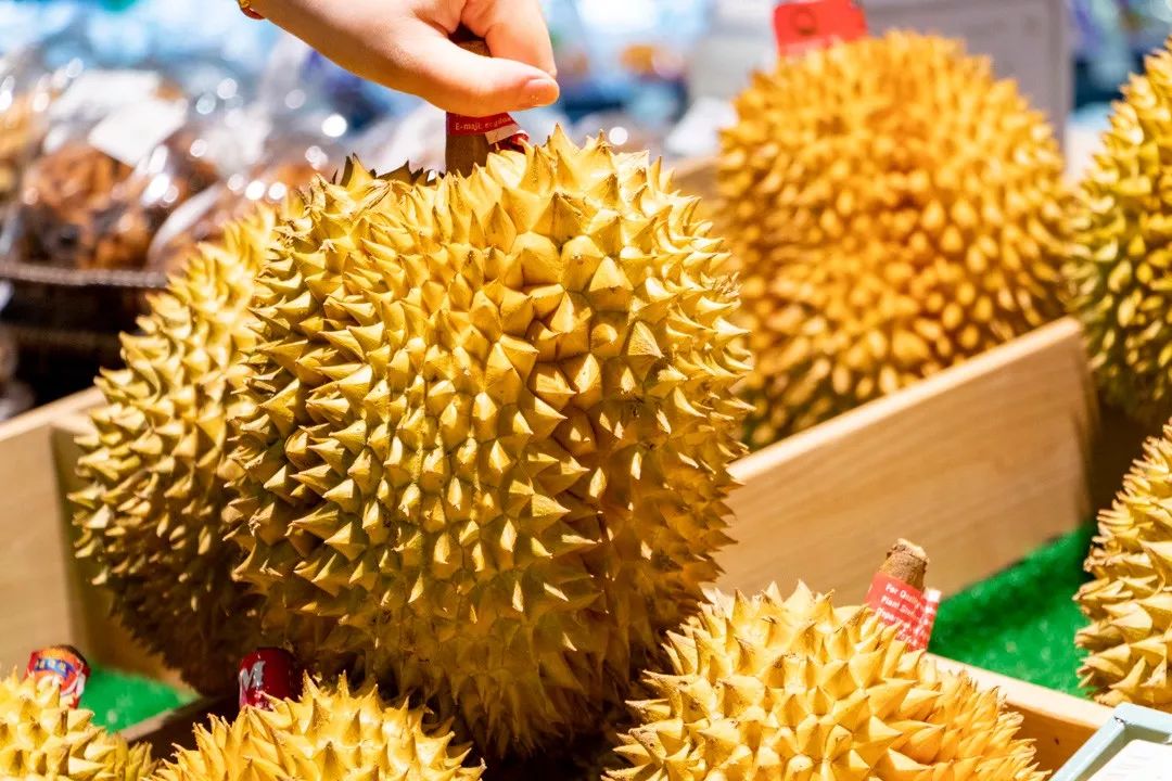 千万别带女朋友来泉州这家超市，她可能会赖着不肯走……