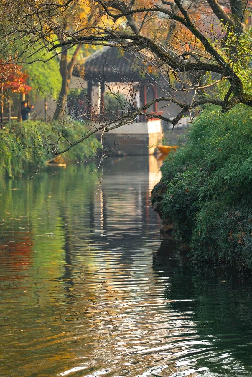 一入秋苏州成姑苏,秋色一入秋苏州就成了姑苏