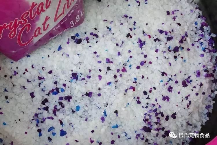 猫砂到底买哪种比较好 (选择哪款猫砂)