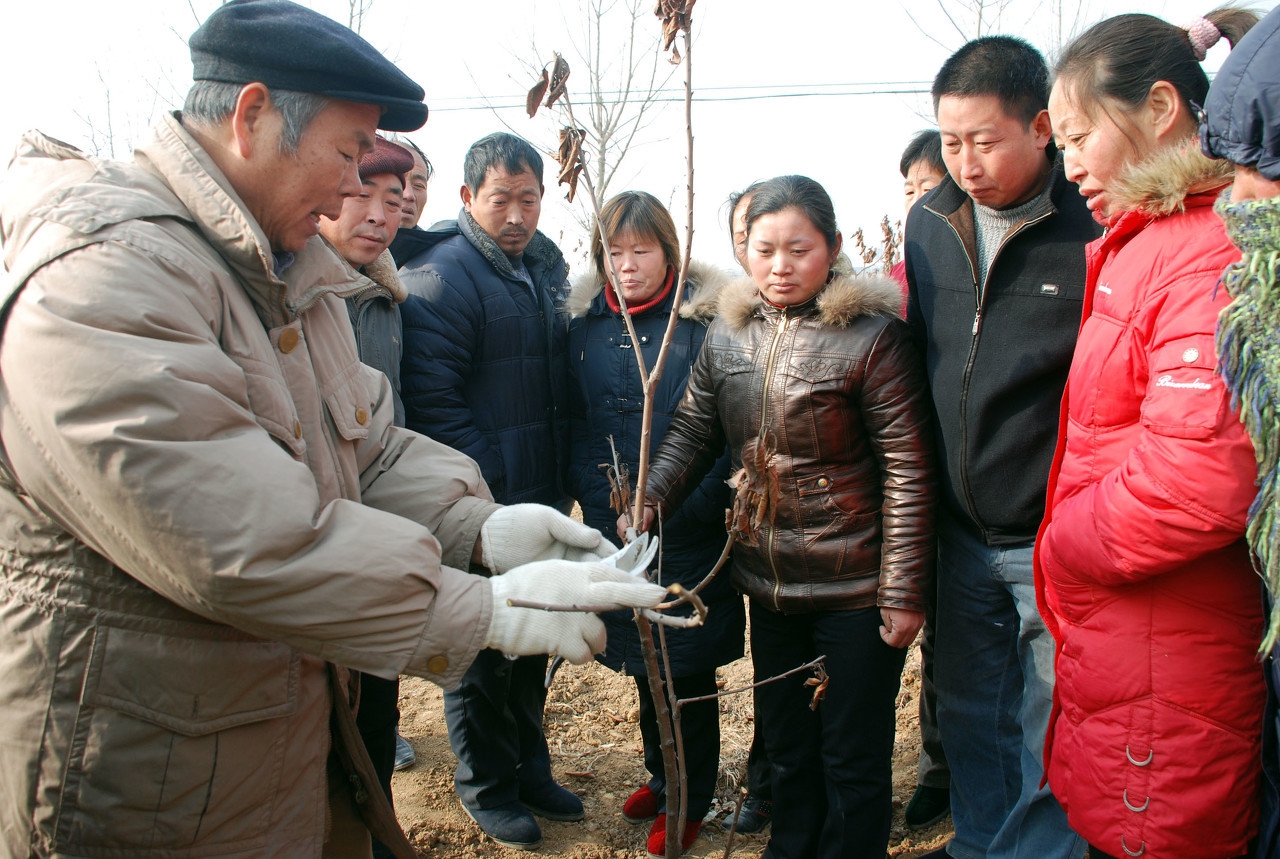 民优农产品产业化种植基地商业计划方案书范文