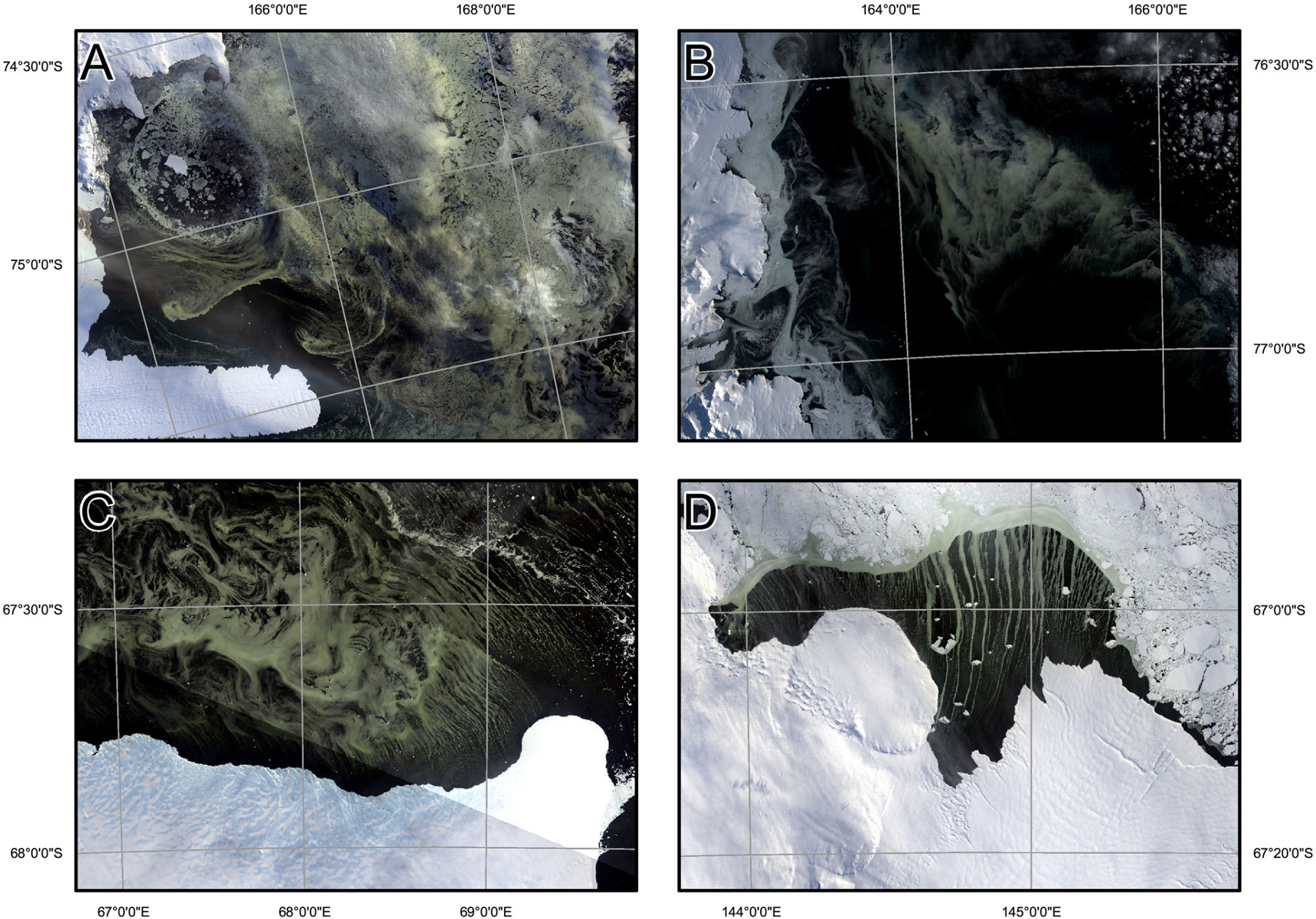 2019南极变暖程度,2023南极变暖最新进展