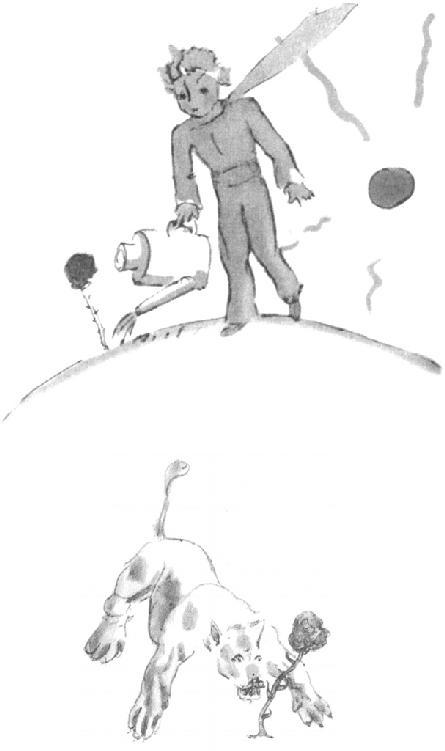 《thelittleprince》绘本故事,《小王子》thelittleprince