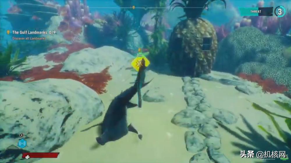 食人鲨从哪里买的,食人鲨值得买吗