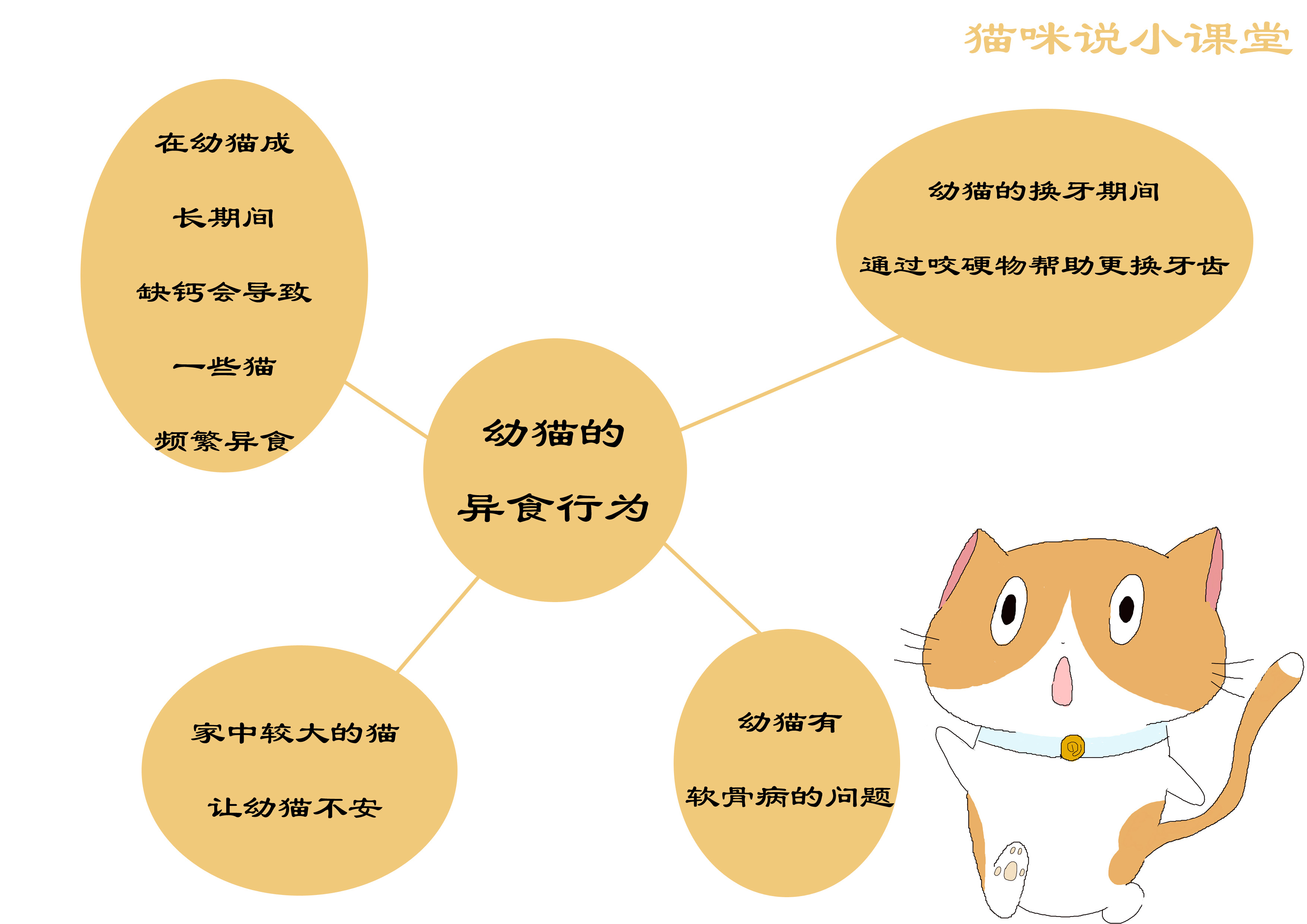 猫喜欢进食异物，长期食物过于单一是原因，但不能忽略换牙等因素