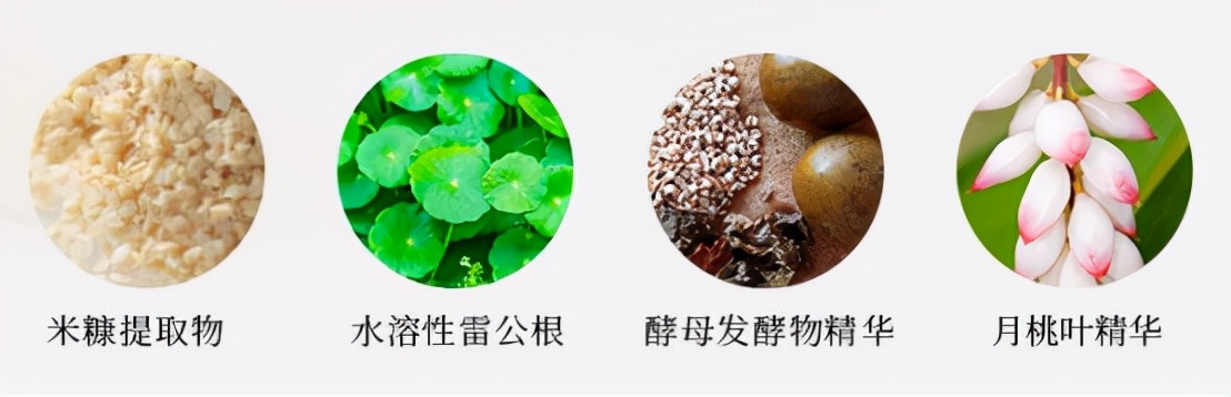 回购率超90%的日本人气品牌-再春館DomohornWrinkle