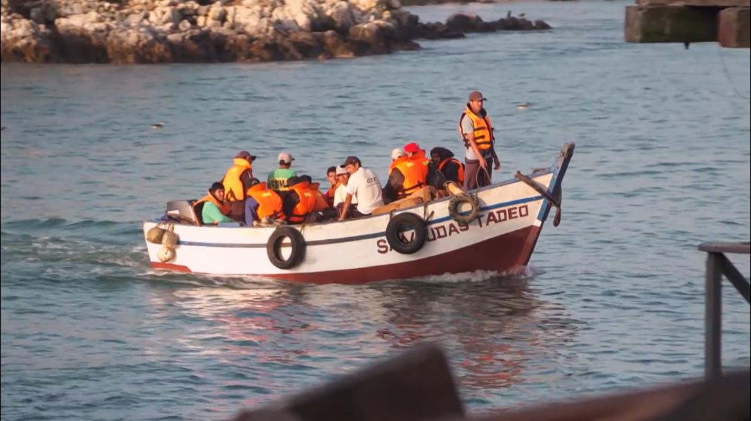 66岁渔民打鱼,60岁渔民捕鱼