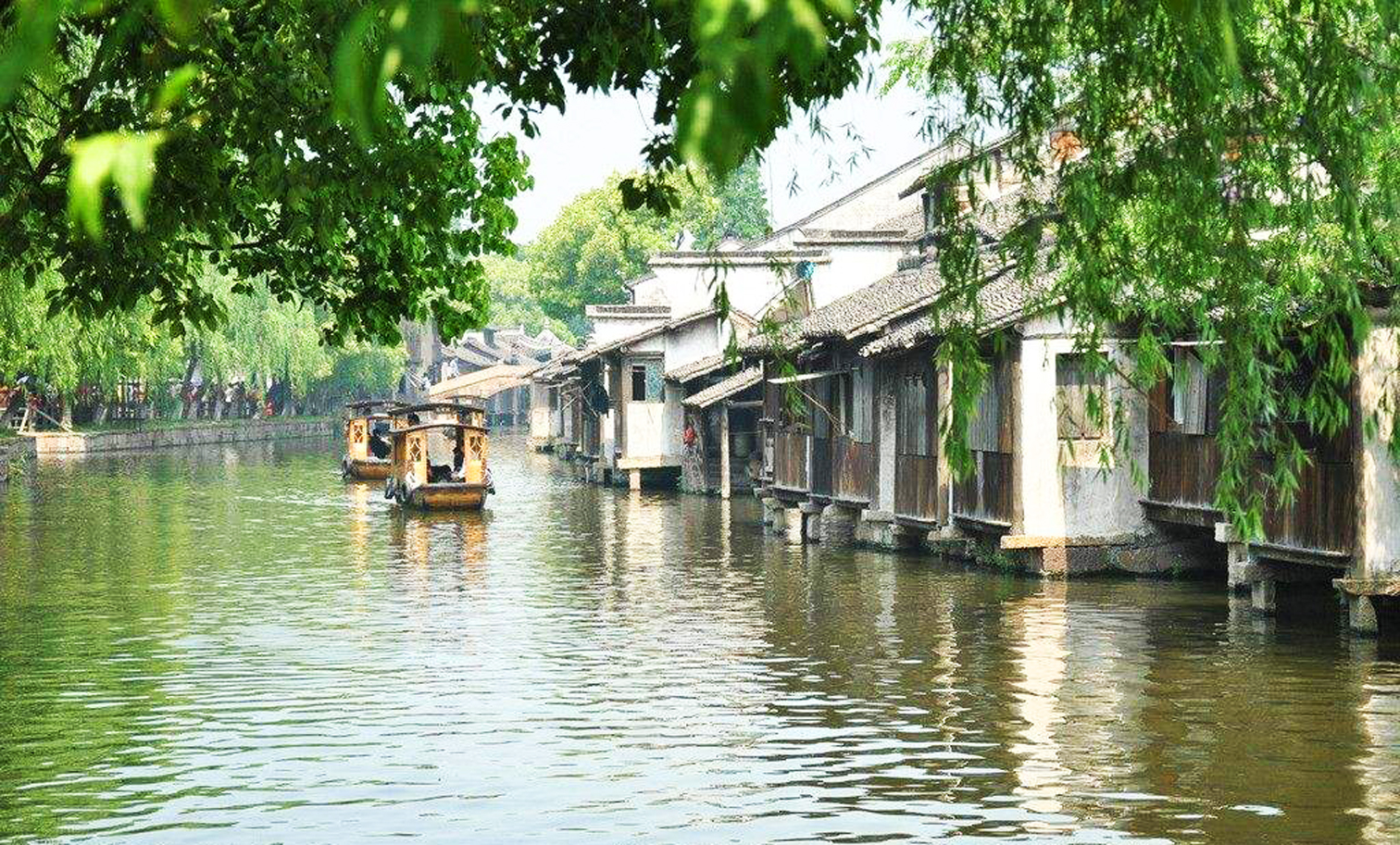 老家门口的树上有仙,老家门口的河视频