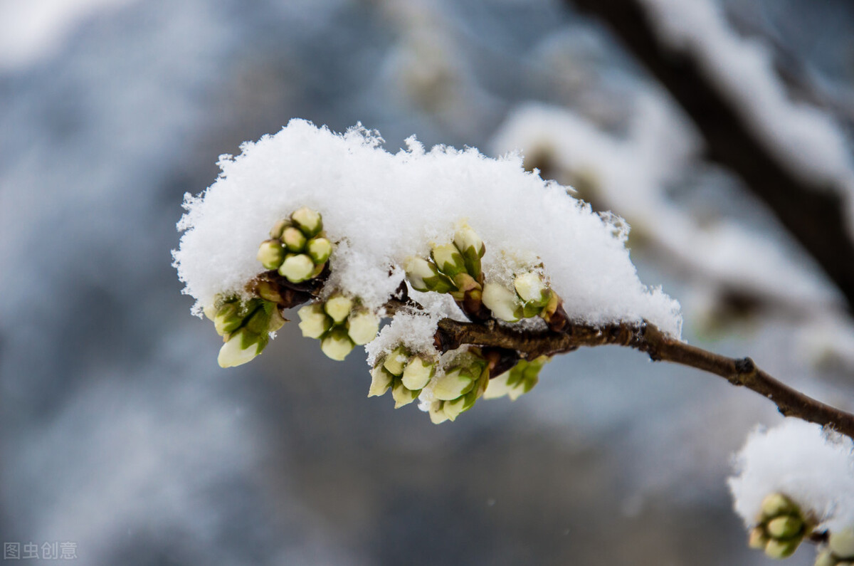 王者荣耀名字大全简短好听的,王者荣耀名字的特殊符号