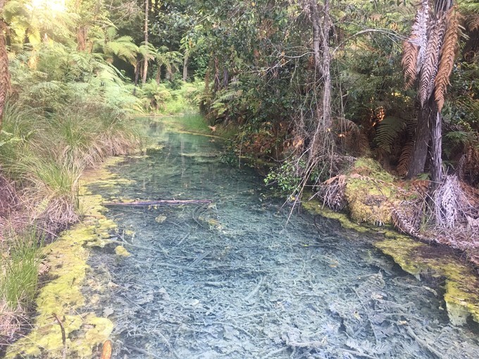 让你不用出门欣赏到美丽的风景,让你不出门你会待几天
