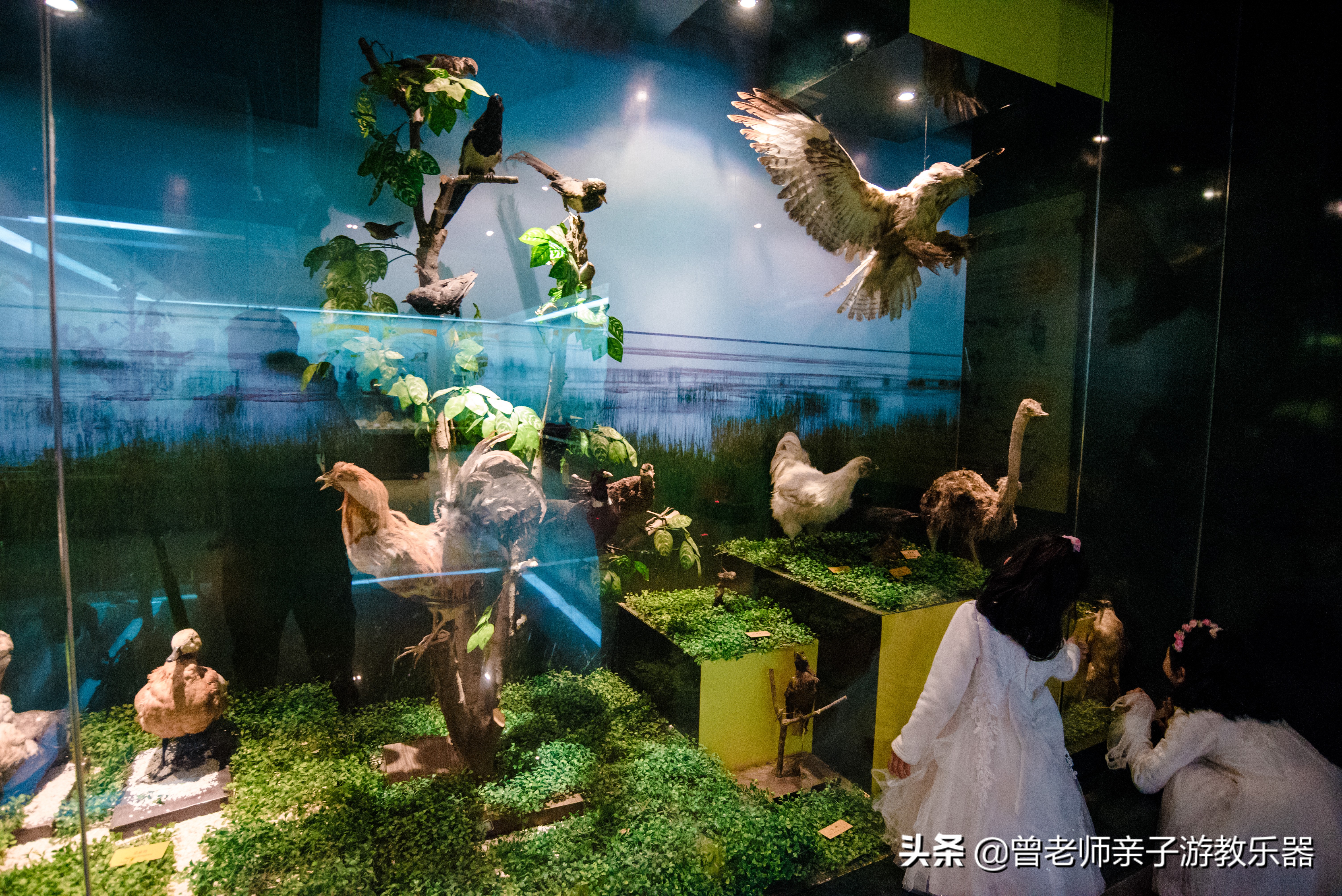 西安遛娃夏日,国庆西安周边2-3天溜娃