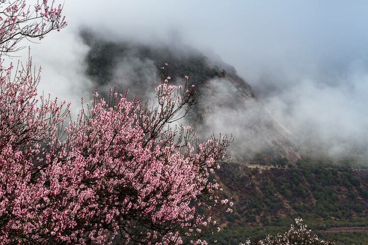海子面朝大海春暖花开写作时间,海子面朝大海春暖花开原文图片