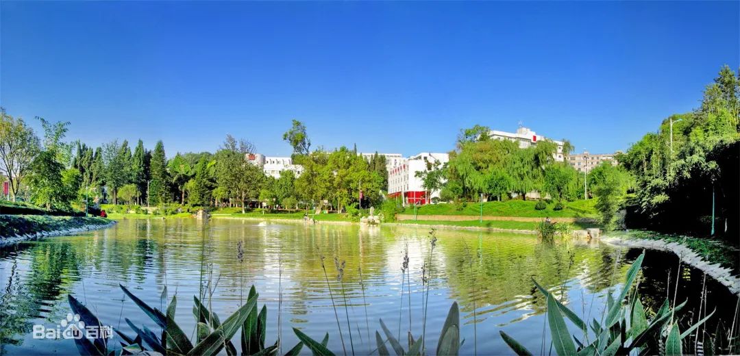 玉溪师范学院凤凰路134号乐队,玉溪师范学院的故事