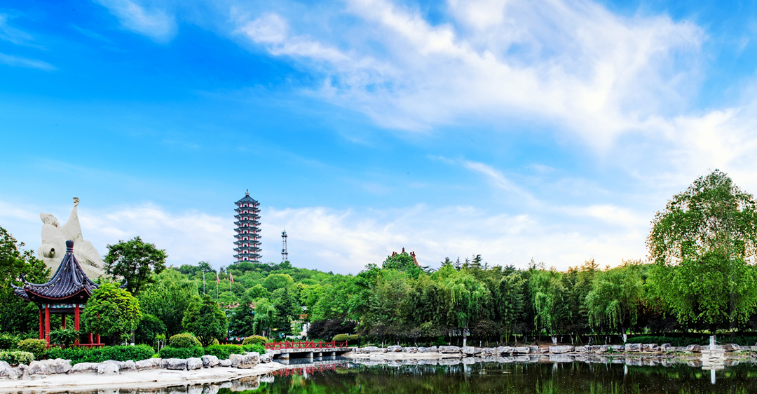 山东大蒜之乡哪一个县,山东的大蒜之乡