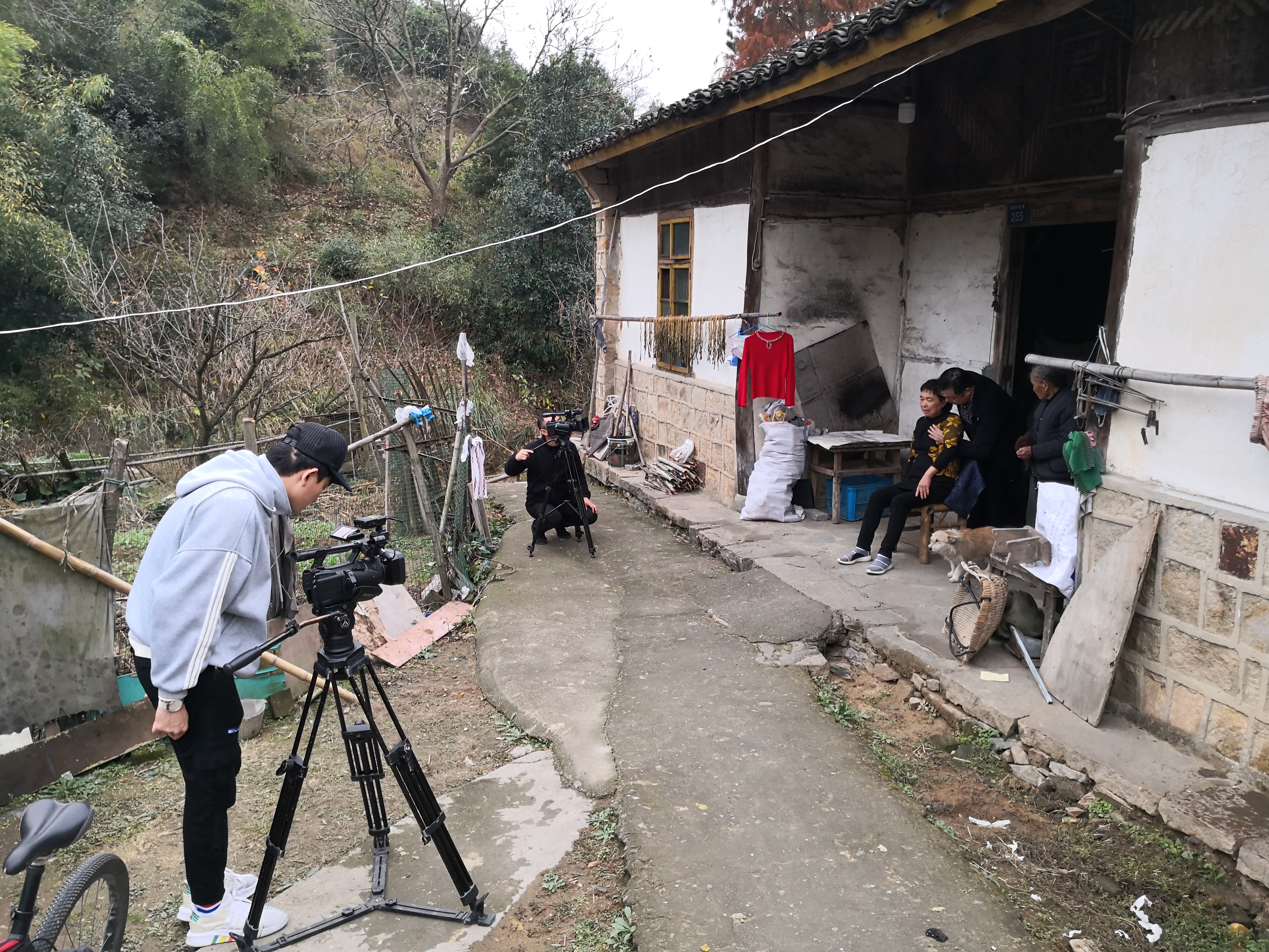 姚亚强小针刀,姚亚强医生视频