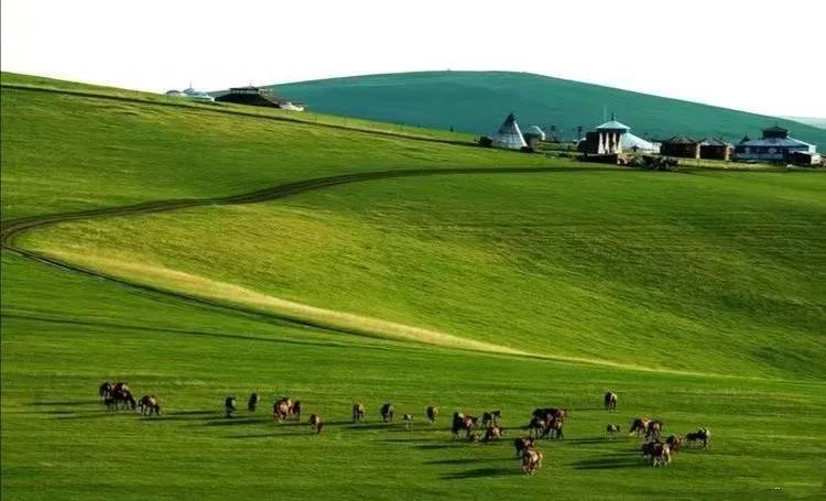 为什么有的企业都有hr招不到人,企业hr招聘效率低招不到人怎么办