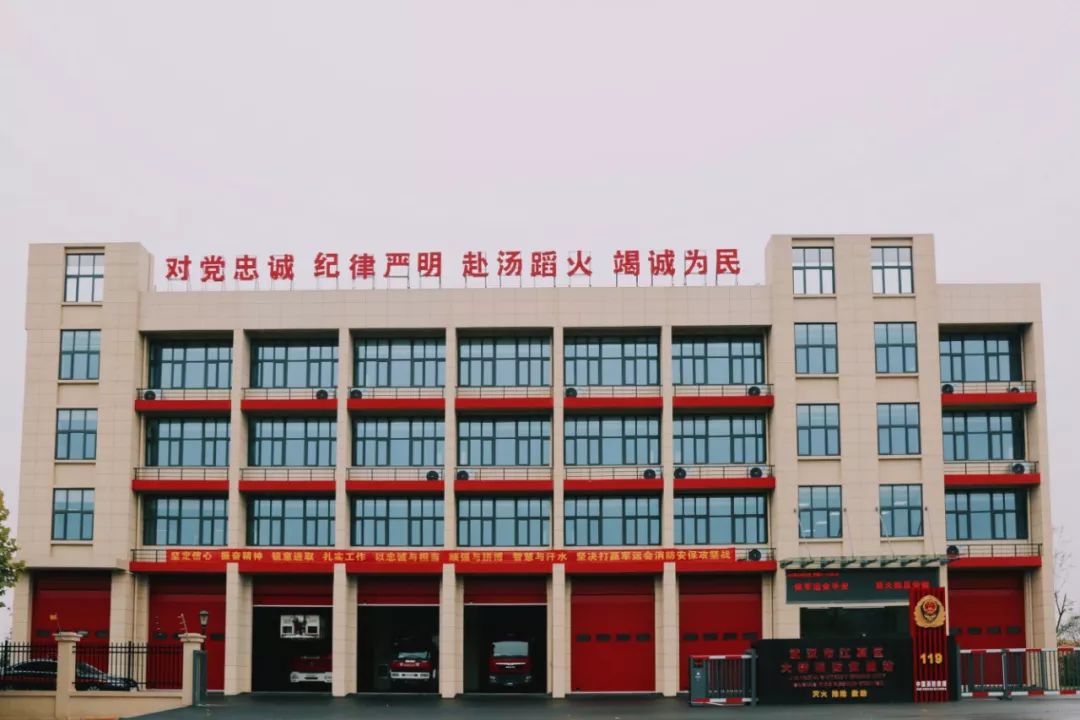 在江夏，我遇见了青松