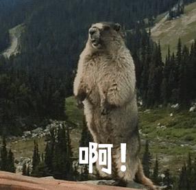 秋冬皮肤瘙痒怎么解决,换季皮肤痒是什么皮炎