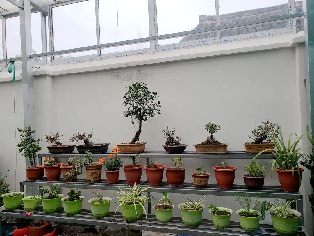 风景好的地方江阴,江阴好风景