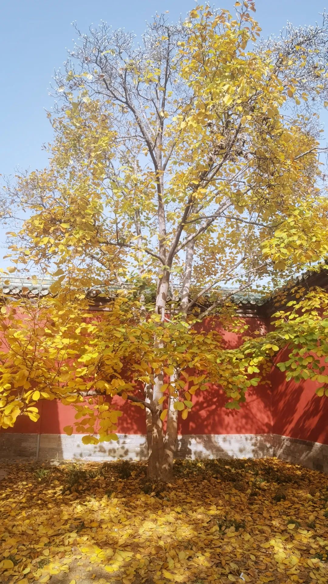 天坛和地坛区别,天坛对对碰桌游