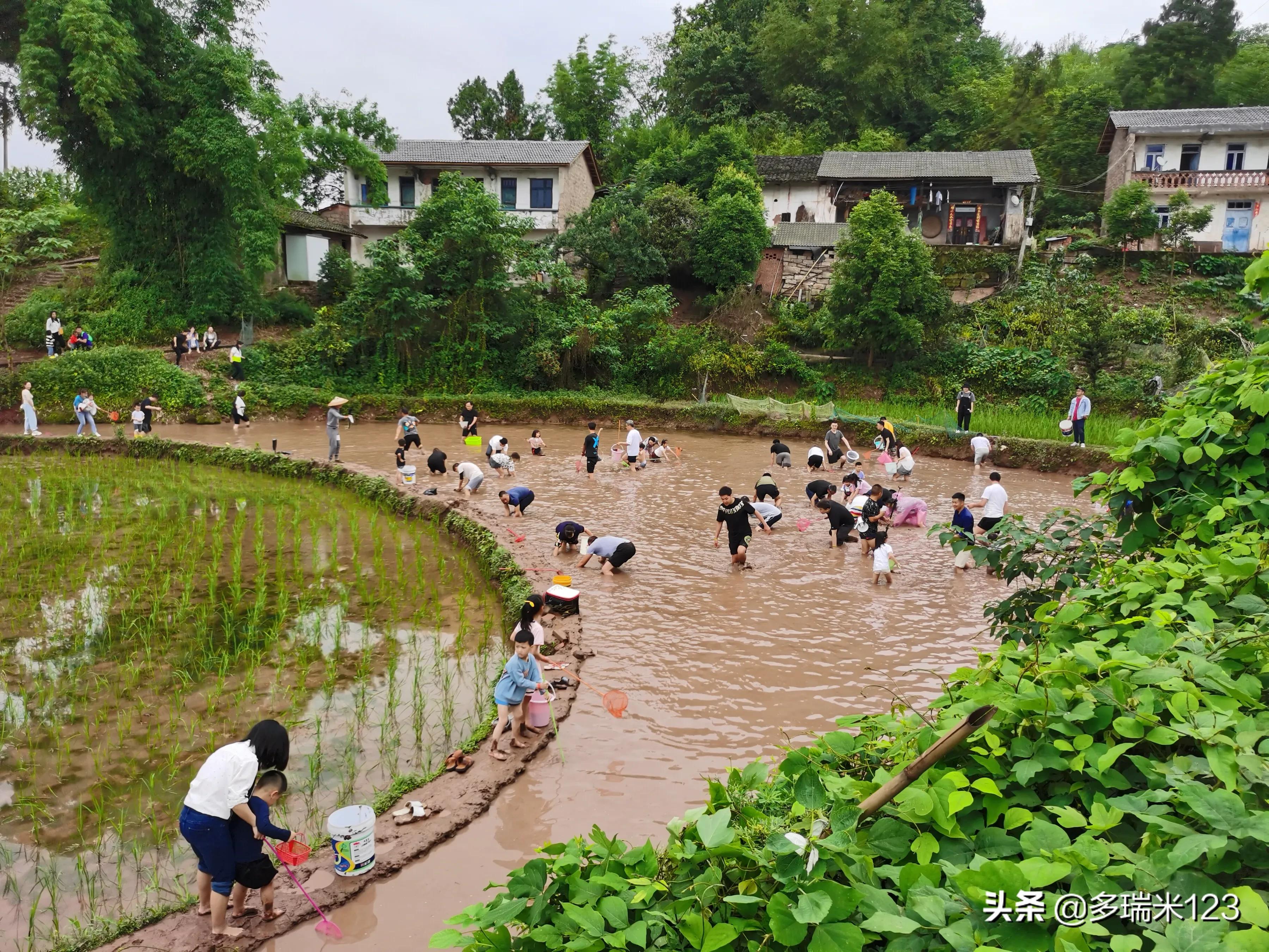 走，去东温泉吧，火锅+摸鱼+泡温泉