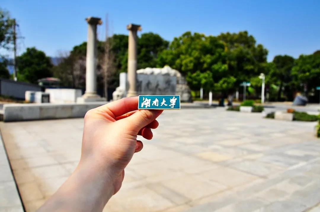 金银花1百斤袋子,金银花1斤1袋