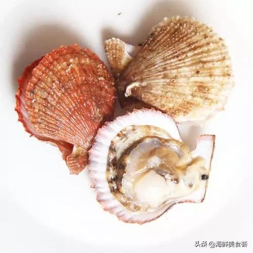 来到广东就得尝遍所有的海鲜美味,广东常见好吃的海鲜