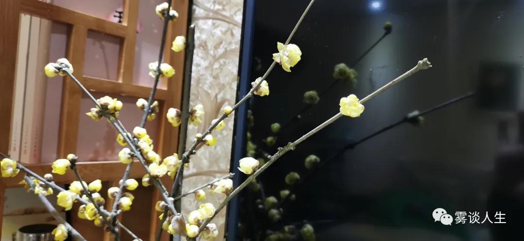 迟来的爱金润吉,迟来的深情