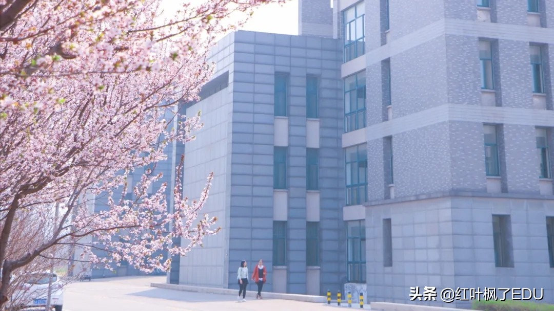 山东师范大学长清湖校区,山东师范大学自考