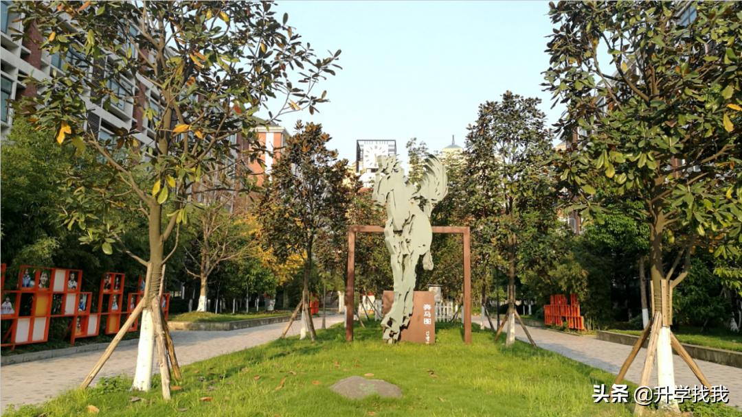 徐悲鸿中学联招人数,徐悲鸿中学2023联招线