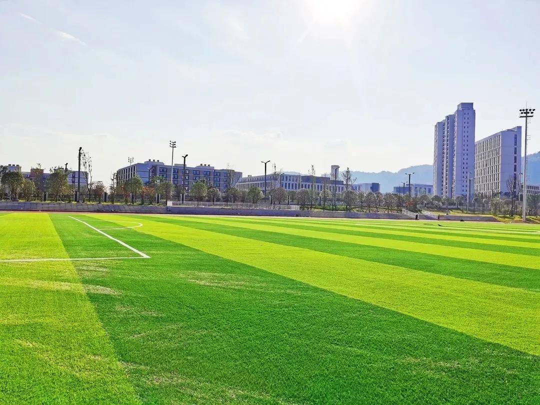 宜宾大学城新生,宜宾大学城新大学