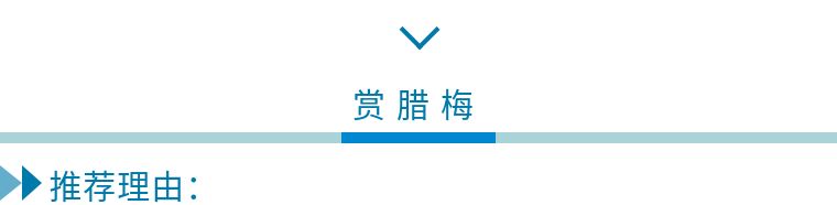 春节三天两晚自由行,假期轻松愉悦的玩耍