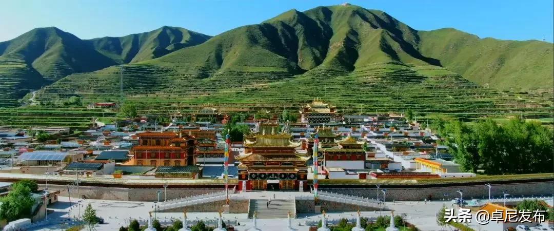 藏王故里秘境卓尼完整版,秘境卓尼青稞酒