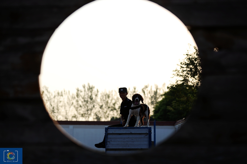 警犬训犬师的工作和生活,如何成为一名合格的警犬训导员