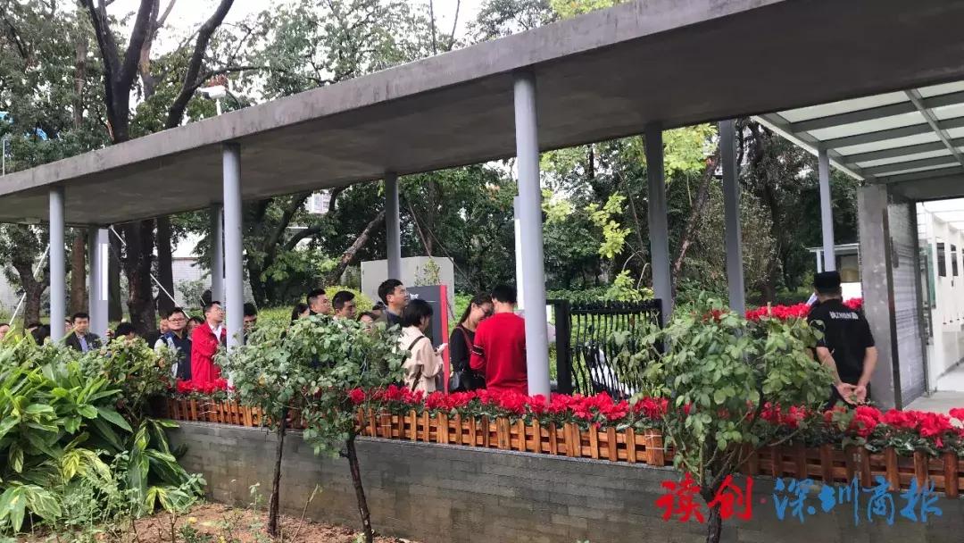 深圳最美婚姻登记处的香蜜湖,深圳最美婚姻福田登记处