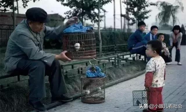 我独家的记忆,我的独家记忆照片